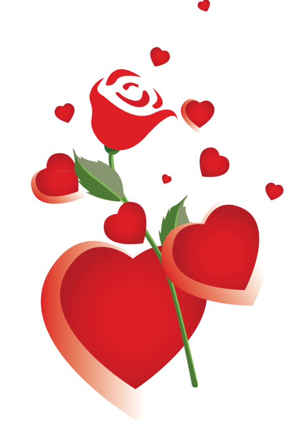 Transparent Rose Heart Valentine S Day Flower for Valentines Day
