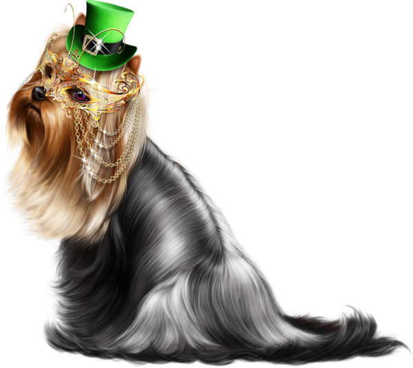 Transparent Yorkshire Terrier Biewer Terrier Pug Companion Dog Paw for St Patricks Day