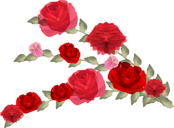 Transparent Garden Roses Floral Design Flower Heart Plant for Valentines Day