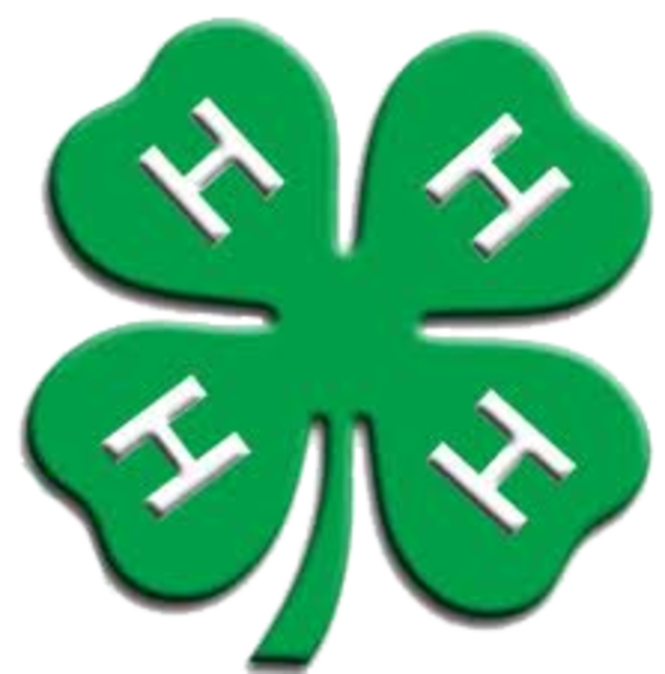 Transparent Logo Emblem Organization Grass Leaf for St Patricks Day