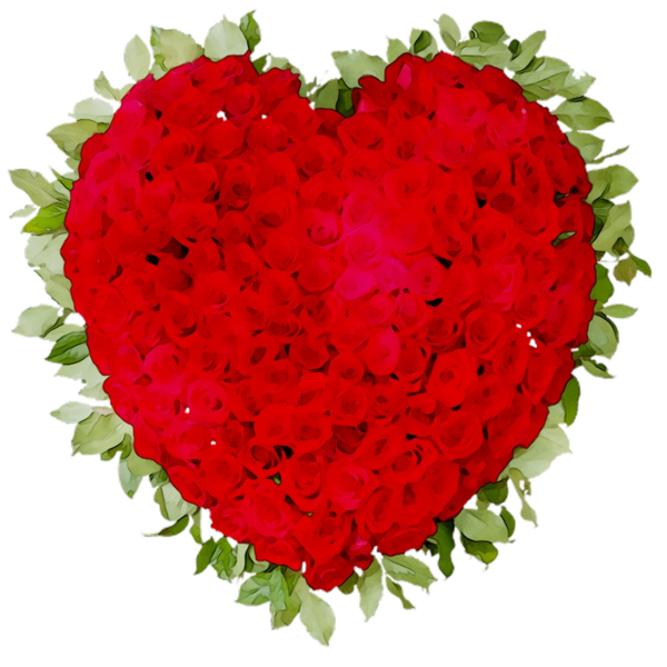 Transparent Garden Roses Rose Floral Design Red Heart for Valentines Day