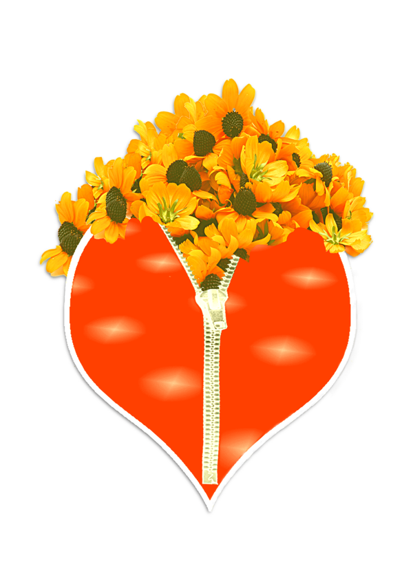 Transparent Flower Video Floral Design Orange Heart for Valentines Day