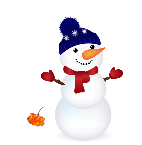 Transparent Christmas Snowman Christmas Decoration Flightless Bird for Christmas