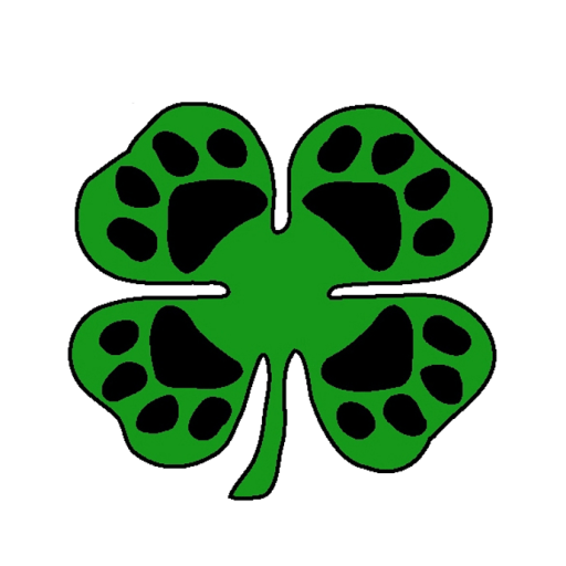 Transparent Friends Of The Animal Center Foundation Cedar Valley North Liberty Grass Leaf for St Patricks Day
