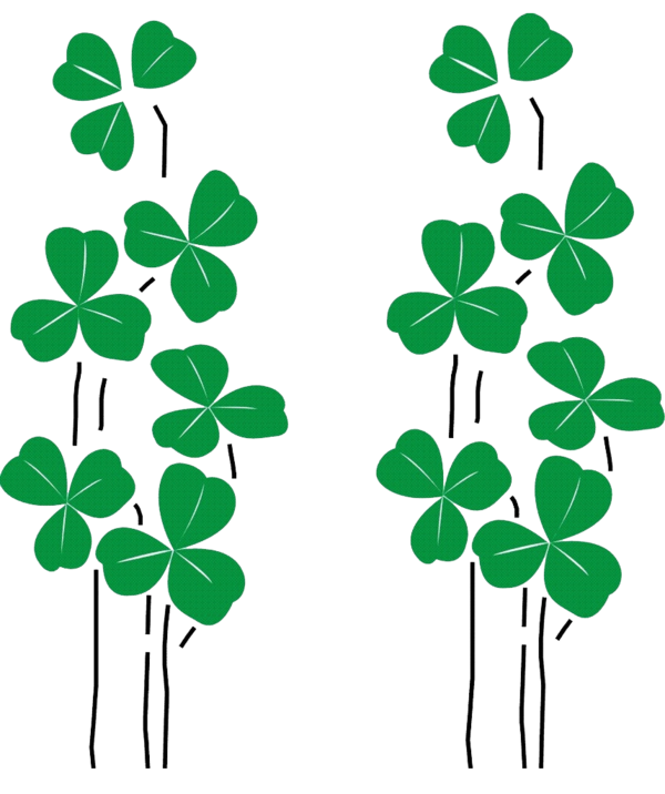 Transparent Clover Fourleaf Clover Green Plant Flora for St Patricks Day