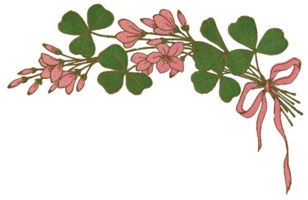 Transparent Saint Patrick S Day Shamrock Gift Plant Flora for St Patricks Day