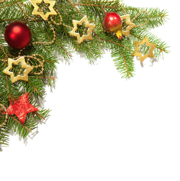 Transparent Christmas Christmas Decoration Christmas Ornament Evergreen Fir for Christmas