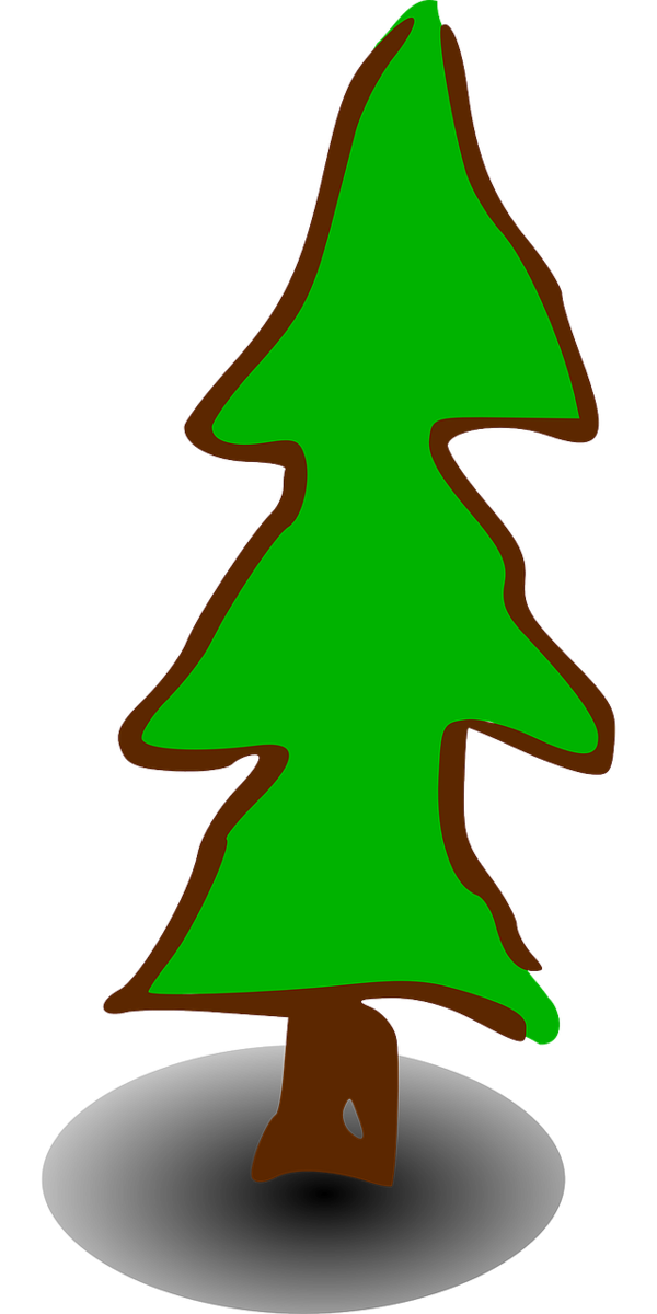 Transparent Symbol Christmas Day Drawing Christmas Tree Green for Christmas