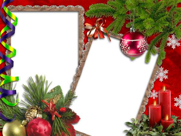 Transparent Christmas Picture Frame Christmas Card Fir Evergreen for Christmas