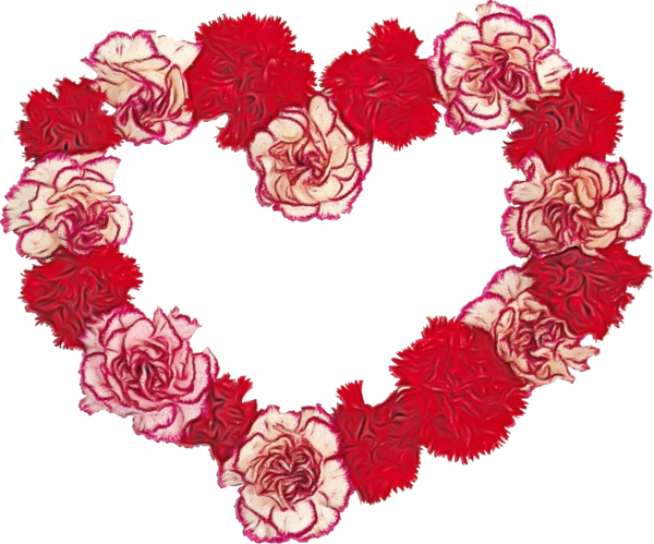 Transparent Garden Roses Rose Floral Design Red Pink for Valentines Day