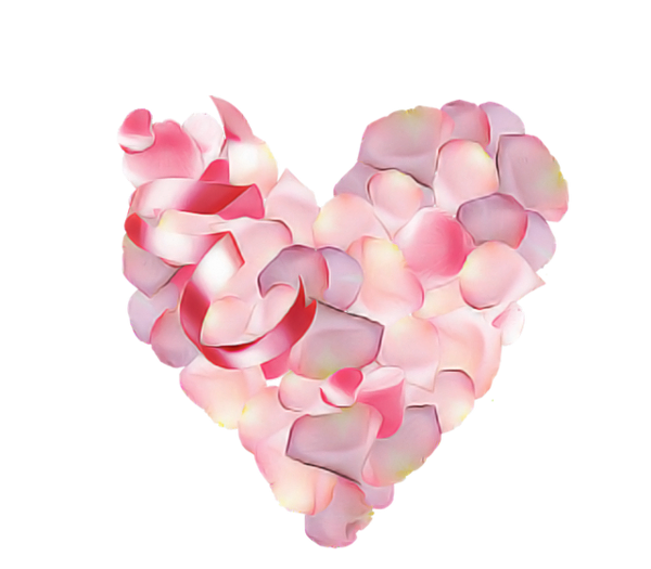 Transparent Pink Heart Petal for Valentines Day