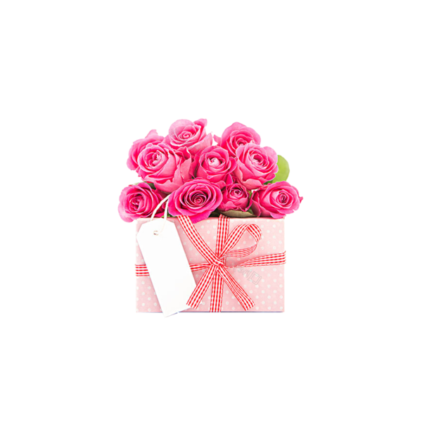 Transparent Friendship Mother Friendship Day Pink Rose for Mothers Day
