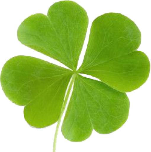 Transparent Fourleaf Clover Shamrock Luck Green Leaf for St Patricks Day