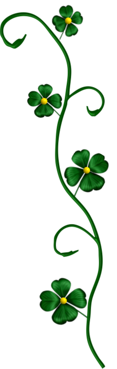 Transparent Saint Patrick S Day Blog Drawing Plant Flora for St Patricks Day