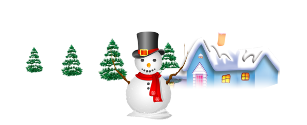 Transparent Snowman Winter Snow Flightless Bird for Christmas