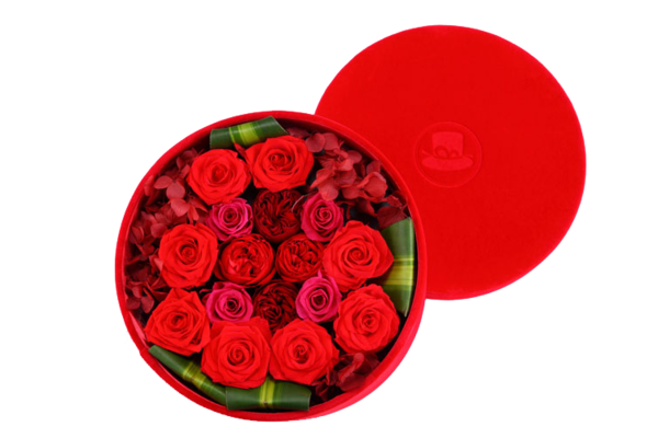 Transparent Garden Roses Beach Rose Flower Petal Heart for Valentines Day