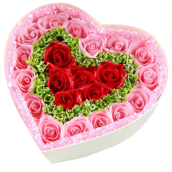 Transparent Garden Roses Beach Rose Pink Heart for Valentines Day