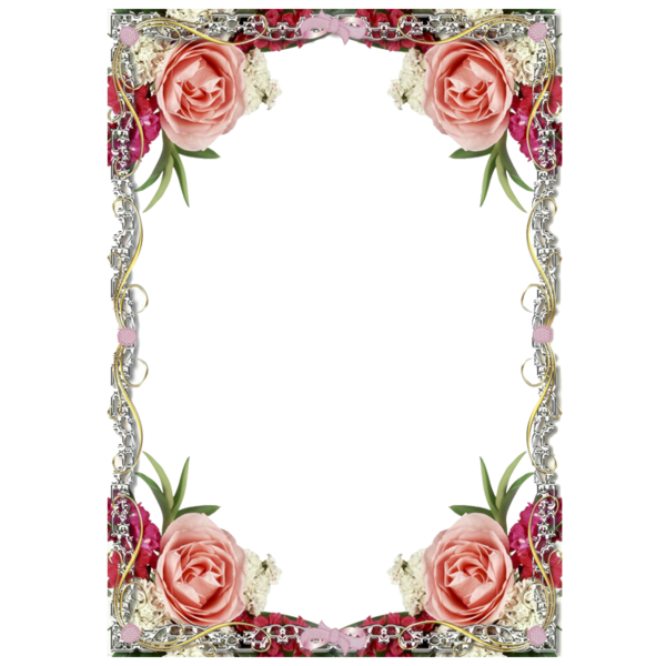 Transparent Digital Photo Frame Picture Frame Digital Photography Pink for Valentines Day