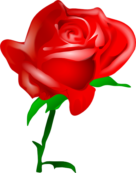 Transparent Rose Flower Love Heart Plant for Valentines Day
