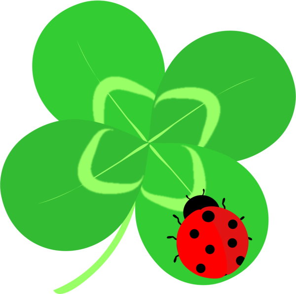 Transparent Fourleaf Clover Clover Ladybird Beetle Green Leaf for St Patricks Day