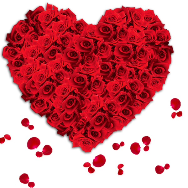 Transparent Flower Romance Valentines Day Red Garden Roses for Valentines Day