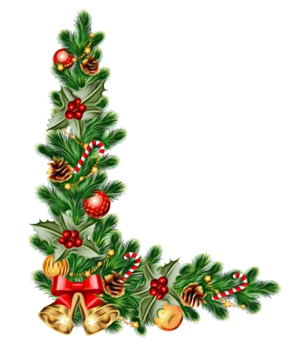 Transparent Christmas Day Christmas Decoration Christmas Tree Oregon Pine for Christmas