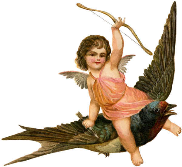 Transparent Cupid Love God Of Love Angel Wing for Valentines Day