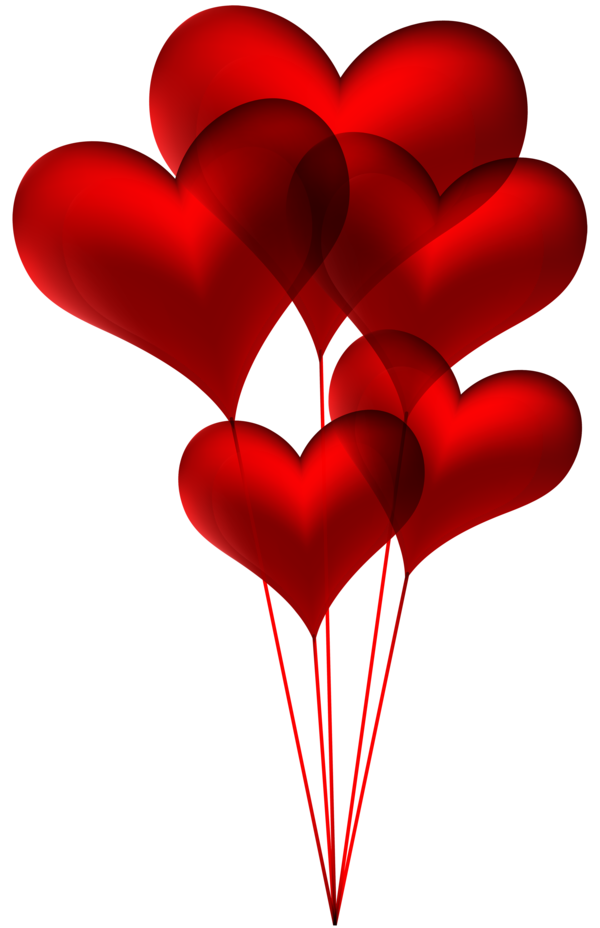 Transparent Balloon Heart Valentine S Day Flower for Valentines Day