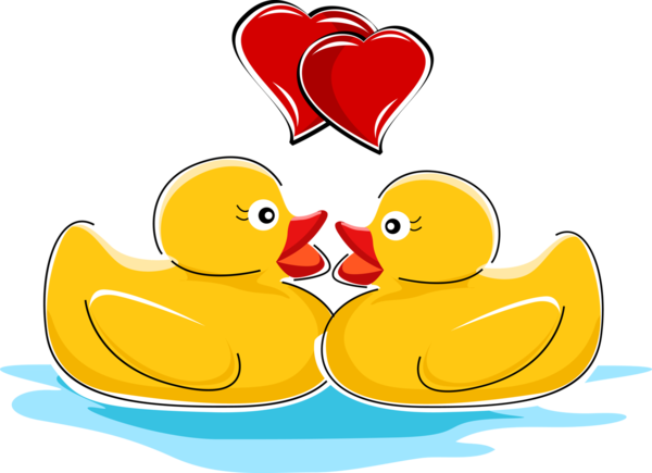 Transparent Love Message Valentines Day Yellow Ducks Geese And Swans for Valentines Day