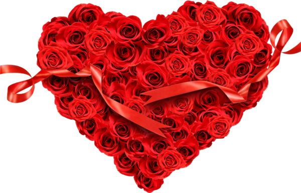 Transparent Heart Rose Flower Red Garden Roses for Valentines Day