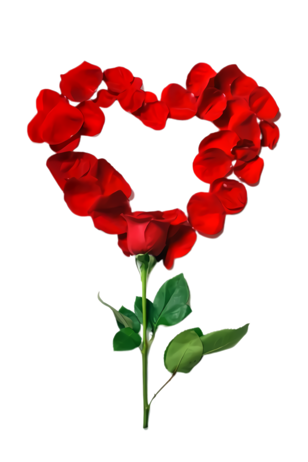 Transparent Red Flower Petal for Valentines Day