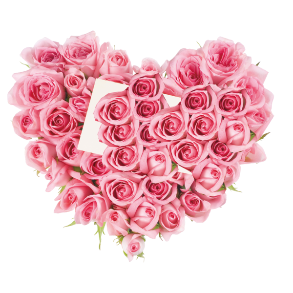 Transparent Rose Flower Pink Heart for Valentines Day
