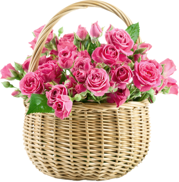Transparent Flower Rose Basket Pink Plant for Valentines Day