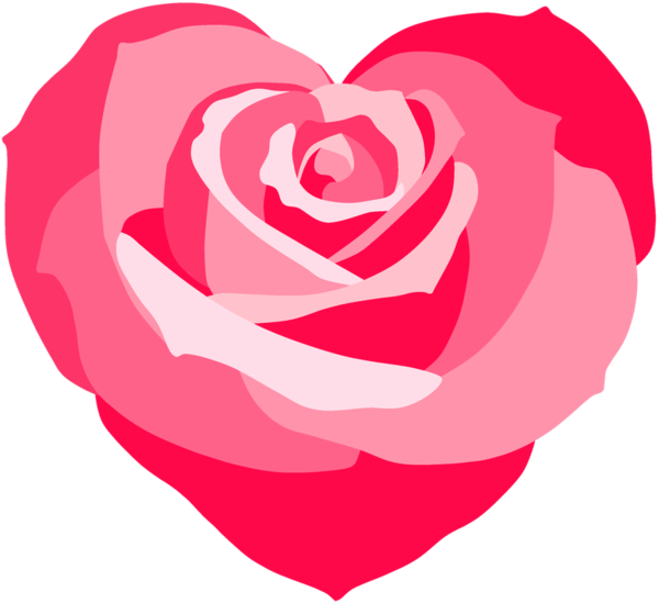 Transparent Garden Roses Valentines Day Rose Pink for Valentines Day