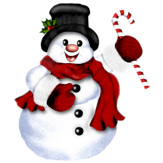 Transparent Christmas Santa Claus Blingee Snowman Christmas Ornament for Christmas
