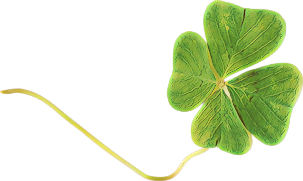 Transparent Leaf Plant Stem Shamrock Green for St Patricks Day
