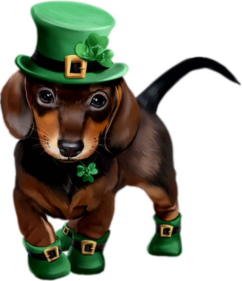 Transparent Dachshund Saint Patrick S Day Puppy Dog for St Patricks Day