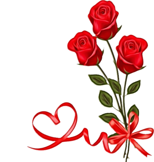 Transparent Valentines Day Love Urdu Red Cut Flowers for Valentines Day