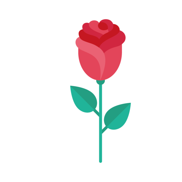 Transparent Rose Valentines Day Symbol Plant Flower for Valentines Day