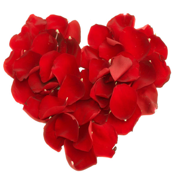 Transparent Petal Heart Valentines Day Red for Valentines Day