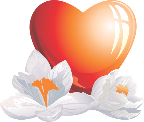 Transparent Heart Animation Love Flower for Valentines Day
