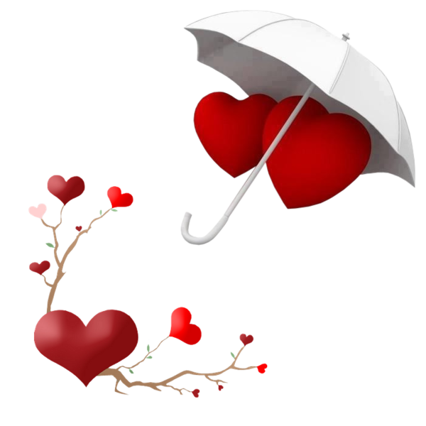 Transparent Valentine S Day Heart Animation Flower for Valentines Day