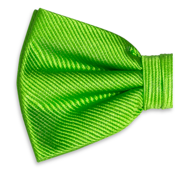 Transparent Bow Tie Necktie Einstecktuch Green for St Patricks Day