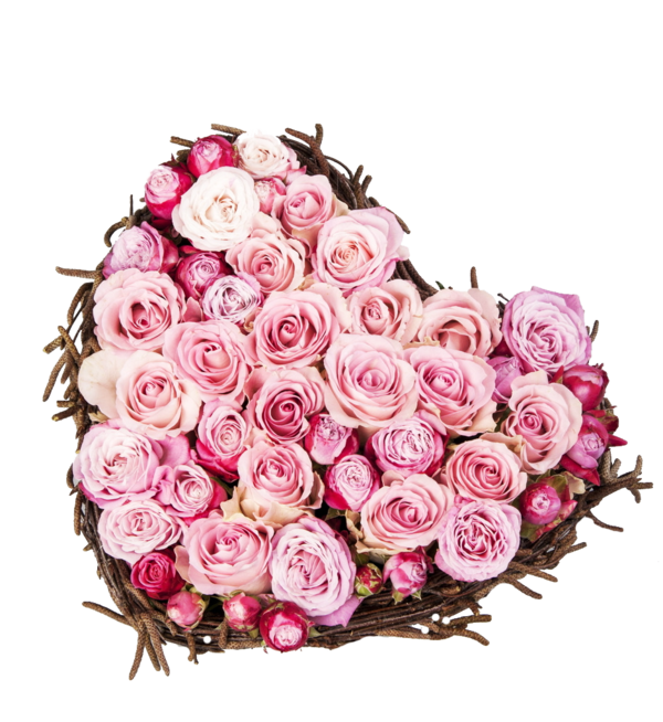 Transparent Rose Valentines Day Love Pink Plant for Valentines Day