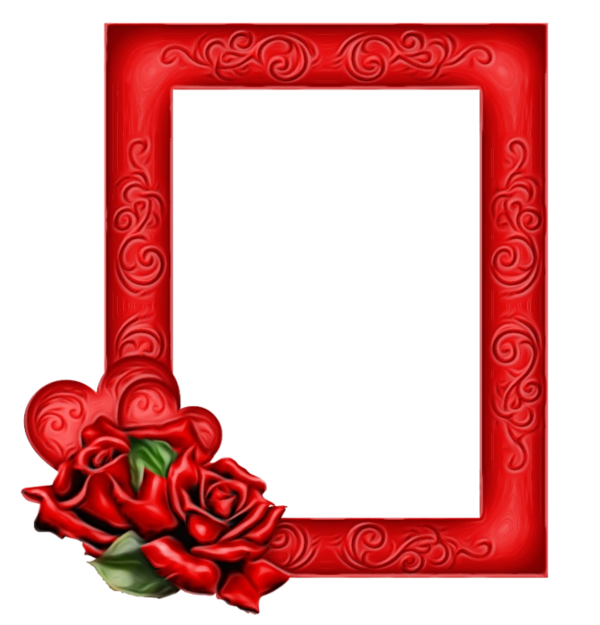 Transparent Garden Roses Rose Picture Frames Picture Frame Red for Valentines Day