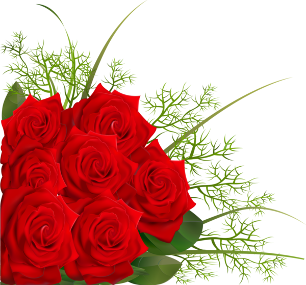 Transparent Garden Roses Flower Rose Petal Plant for Valentines Day