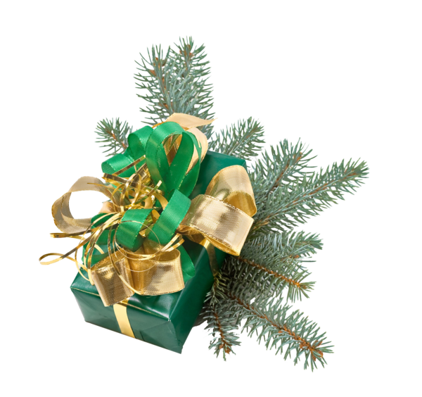Transparent Santa Claus Christmas Gift Fir Pine Family for Christmas