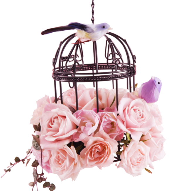 Transparent Bird Flower Birdcage Pink for Valentines Day