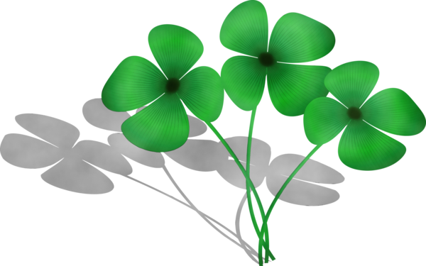 Transparent Fourleaf Clover Luck Drawing Leaf Green for St Patricks Day