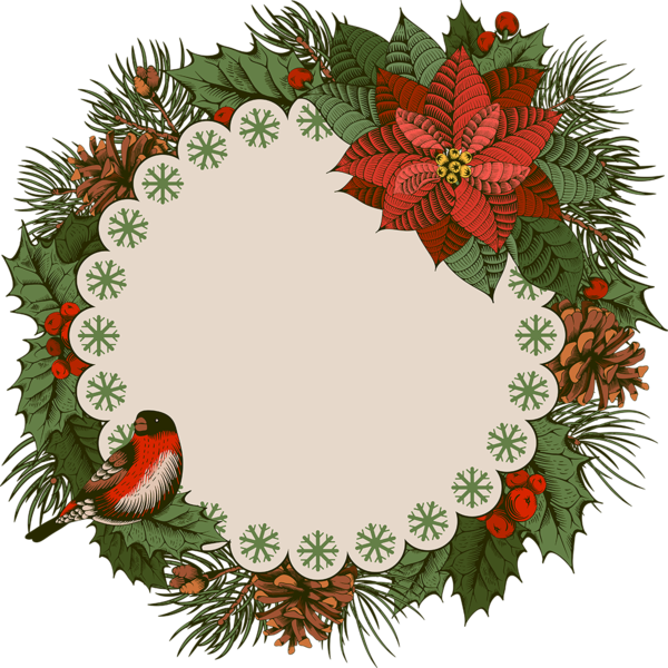 Transparent Wedding Invitation Christmas Card Christmas Evergreen Pine Family for Christmas